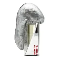 Filippo Sorcinelli Vento Forte