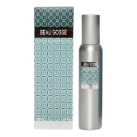 Fragonard Beau Gosse