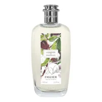 Fragonard L'Herbier Figuier