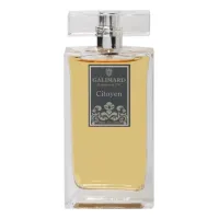 Galimard Citoyen Men