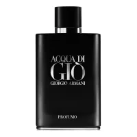 Giorgio Armani Acqua Di Gio Profumo