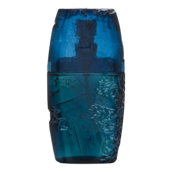 Guy Laroche Horizon Pour Homme