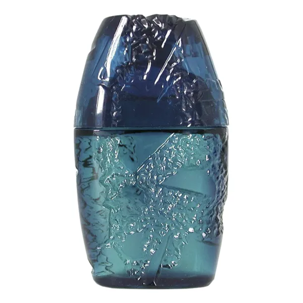 Guy Laroche Horizon Pour Homme