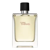 Hermes Terre D'Hermes Pour Homme