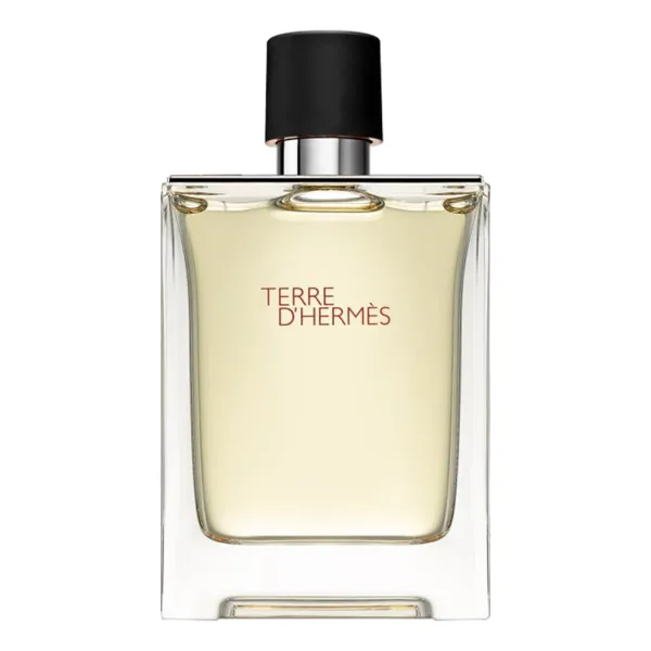 Hermes Terre D'Hermes Pour Homme