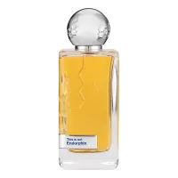 Hormone Paris This Is Not Endorphin