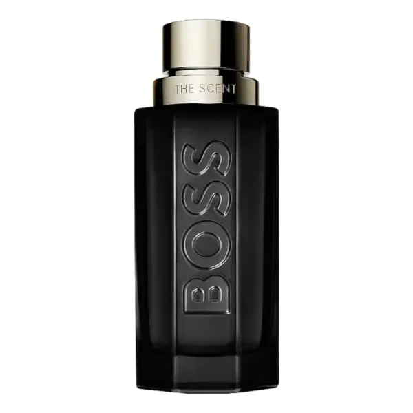 Hugo Boss The Scent Magnetic for Him