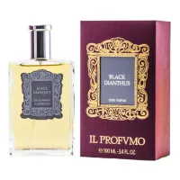 IL Profvmo Black Dianthus