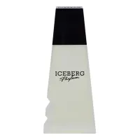 Iceberg Iceberg
