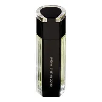 Ignacio Figueras Windsor