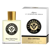 J.F.Schwarzlose Berlin Rosa Centifolia