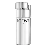 Loewe 7 Plata