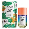 Loewe Paula's Ibiza Eclectic