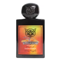 Lorenzo Pazzaglia Vesuviuur