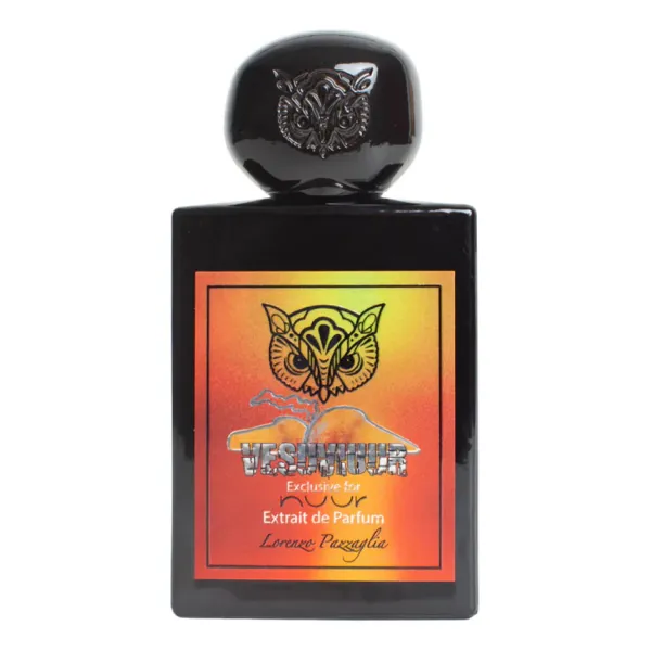 Lorenzo Pazzaglia Vesuviuur