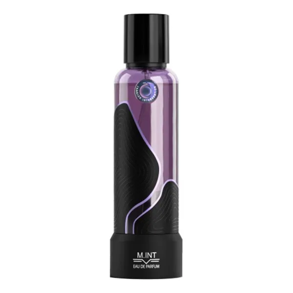 M.INT Fashion Intervention