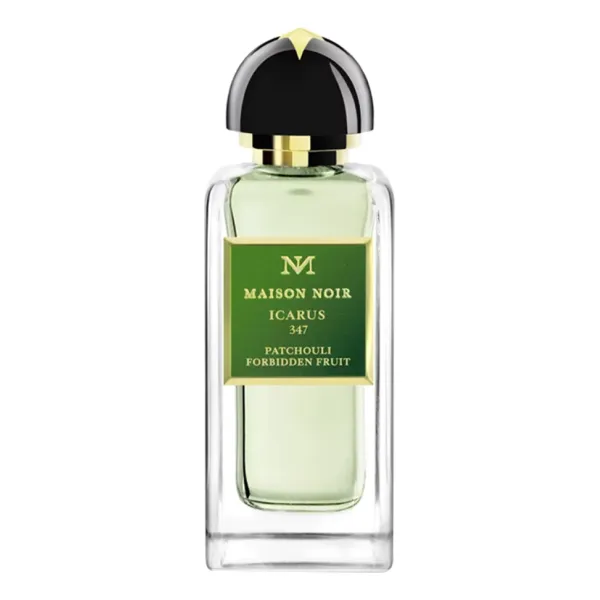 Maison Noir Icarus 347