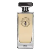 Maison Violet Sketch