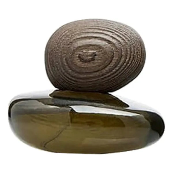 Majda Bekkali J'Ai Fait Un Reve Obscur