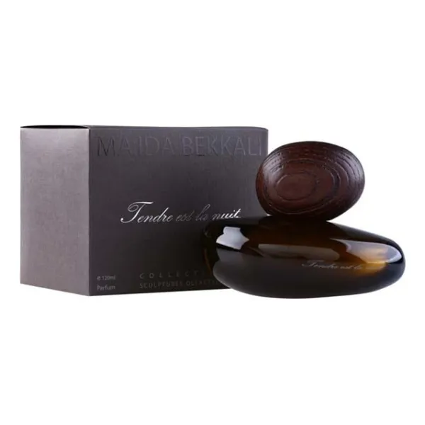 Majda Bekkali Tendre Est La Nuit