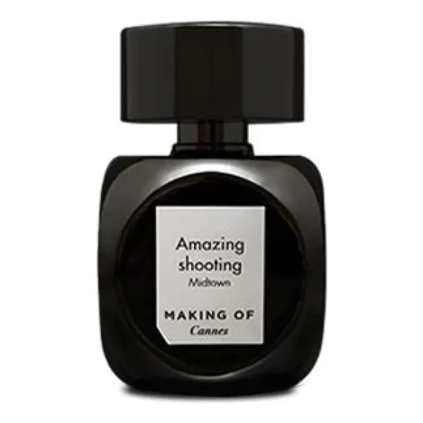 Making of Cannes Amazing Shooting