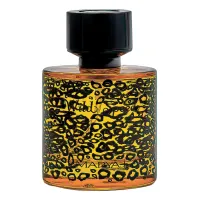 Maryaj Wild Speed For Him