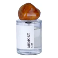 Memory Fragrances Lion