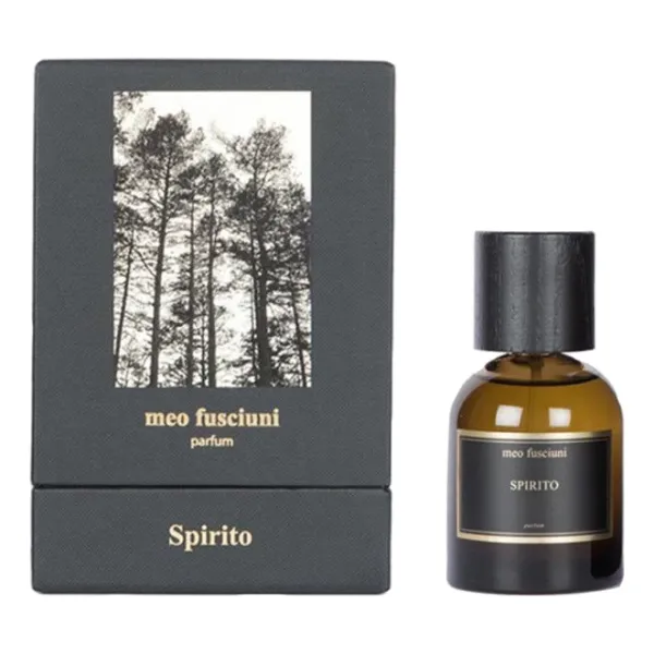 Meo Fusciuni Spirito