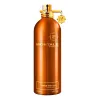 Montale Aoud Melody