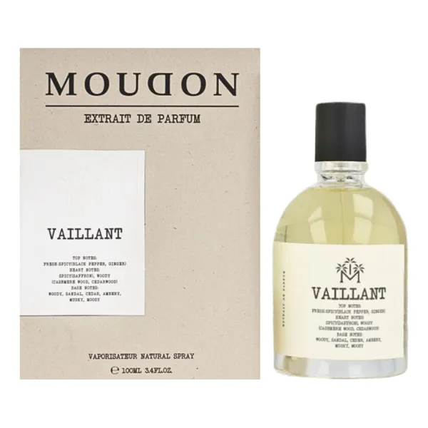 Moudon Vaillant