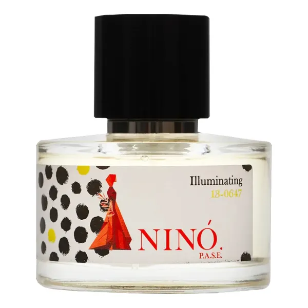 NINO. p.a.s.e. Illuminating