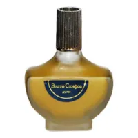 Novaya Zarya (Новая Заря) Злато Скифов