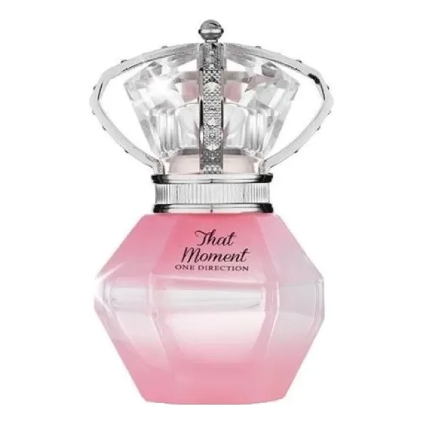 One Direction That Moment