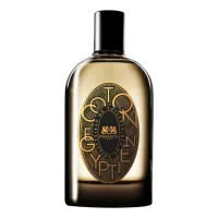 Phaedon Coton Egyptien