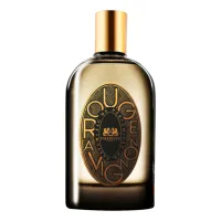 Phaedon Rouge Avignon