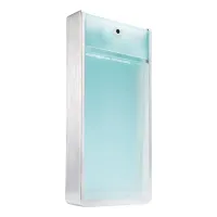 Porsche Design The Essence Summer Ice Men