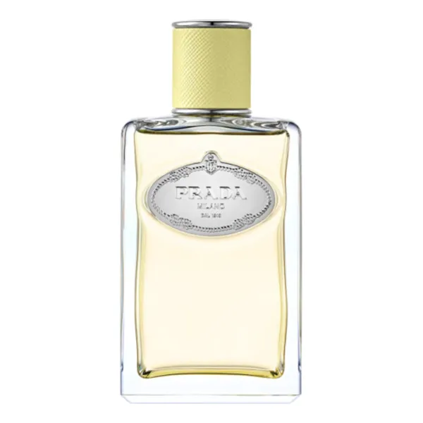 Prada Infusion De Gingembre