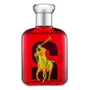 Ralph Lauren Big Pony 2