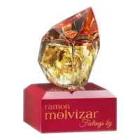 Ramon Molvizar Feelings