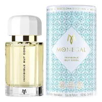 Ramon Monegal Invisible But Cool