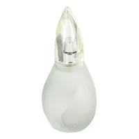 Revlon Fire & Ice Cool