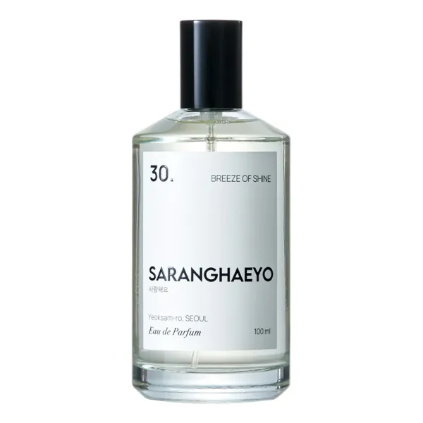 Saranghaeyo 30. Breeze Of Shine