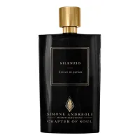 Simone Andreoli Silenzio