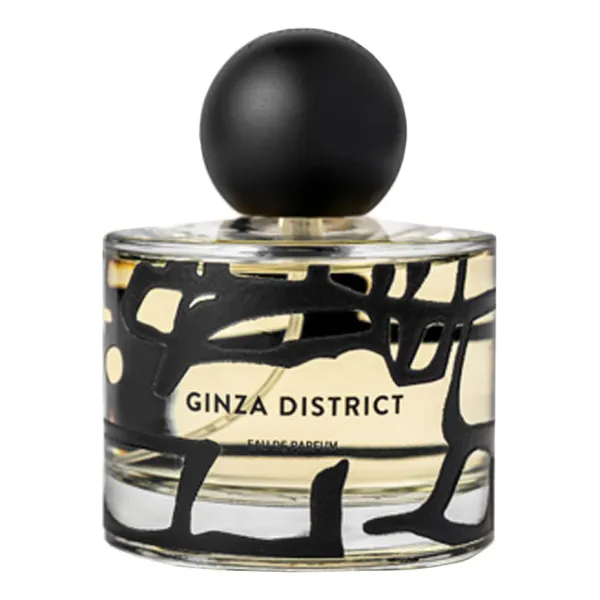 Strada Ginza District