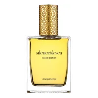 Strangelove NYC Silence The Sea