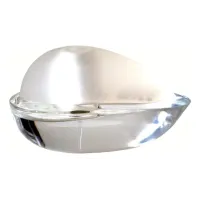 Tan Giudicelli Annam