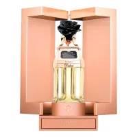 The Spirit of Dubai Narjesi