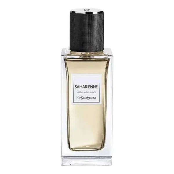Yves Saint Laurent Saharienne 2015