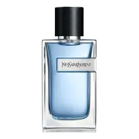 Yves Saint Laurent Y 2022